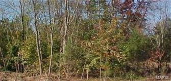 0 Part Lot 4 Sand Creek Terrace unit 18049530, Farmington, MO 63640 - photo 1