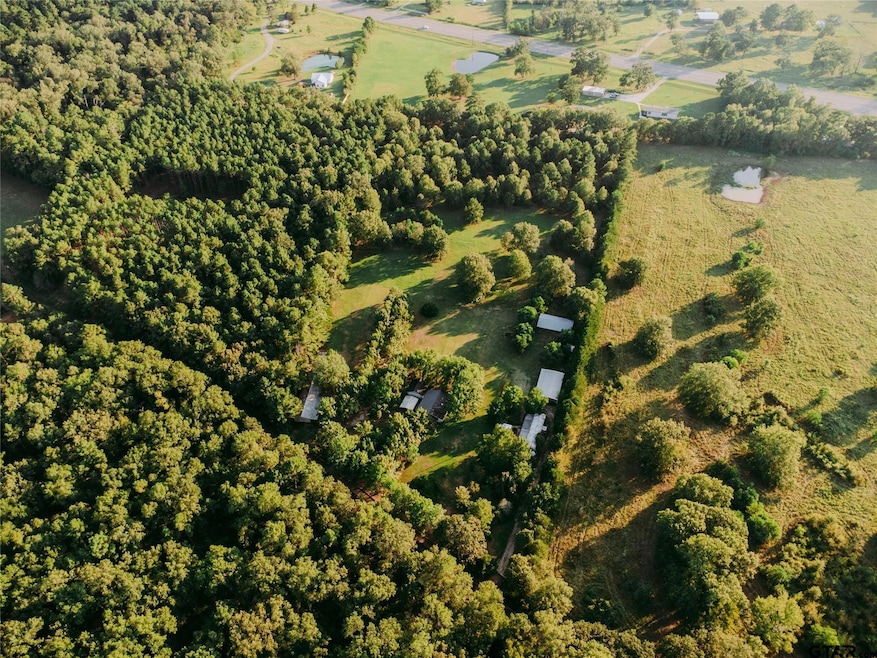 1609 County Road 2626, Wells, TX 75976 - photo 1