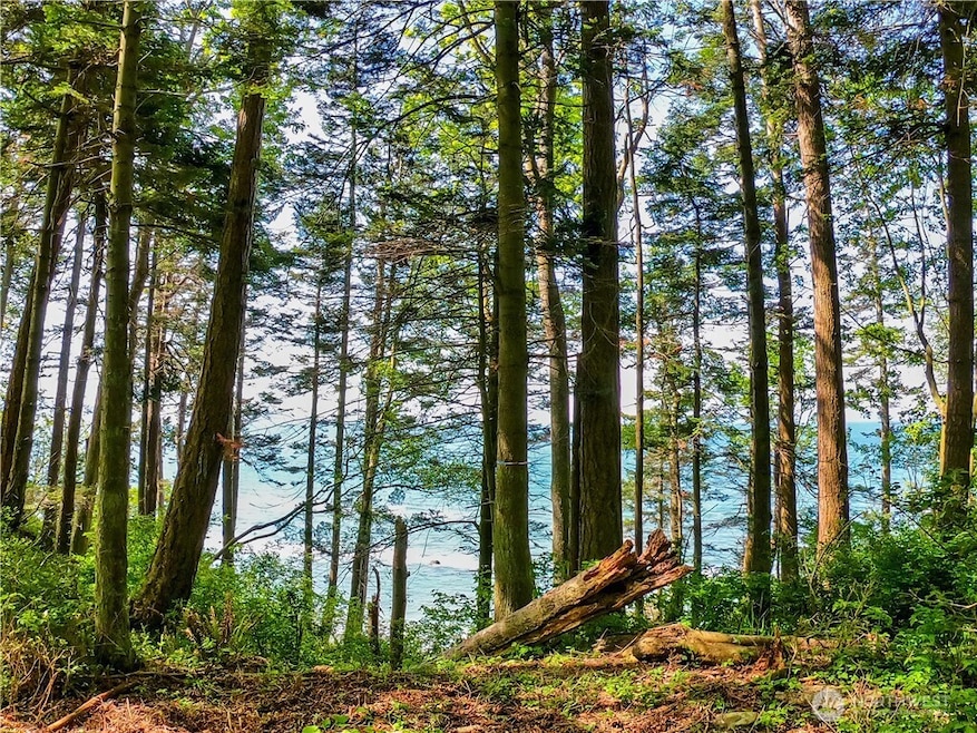 12 Koehn Rd, Birch Bay, WA 98230 - photo 1