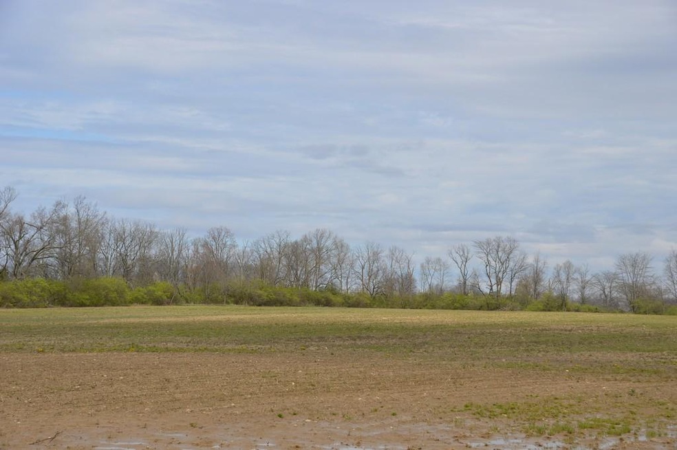 DSC_0894_tn