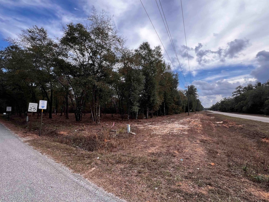 XX McCall Bridge Rd, Lake Talquin, FL 32351 - photo 1