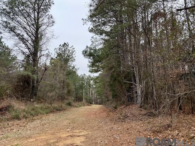 0 Maypop Ln unit 2025003555, Meadville, MS 39653 - photo 1