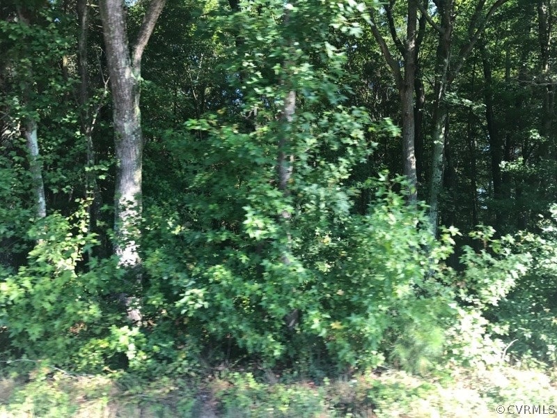 6.000 ACRES, Bevils Bridge Rd, Amelia Courthouse, VA 23002 - photo 1