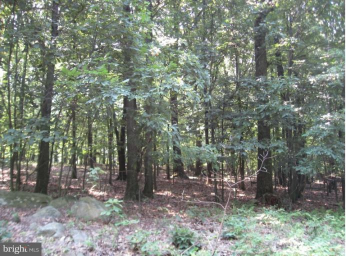 0 Wren Ln unit 1004528278, Harpers Ferry, WV 25425 - photo 1