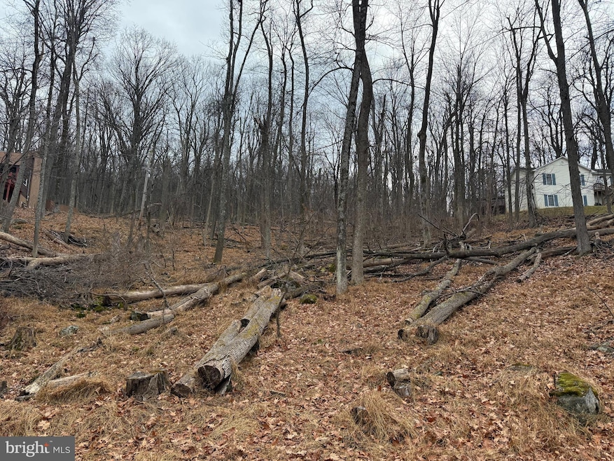 Lot 5 Deer Trail Rd, Front Royal, VA 22630 - photo 1