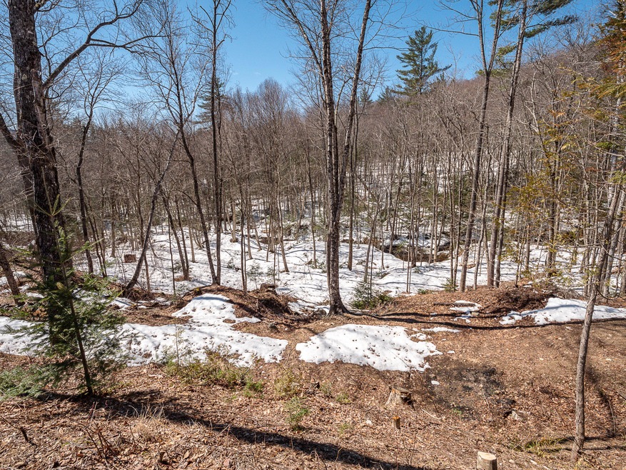 84 Howard Pond Rd-38