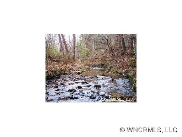 Trout Stream