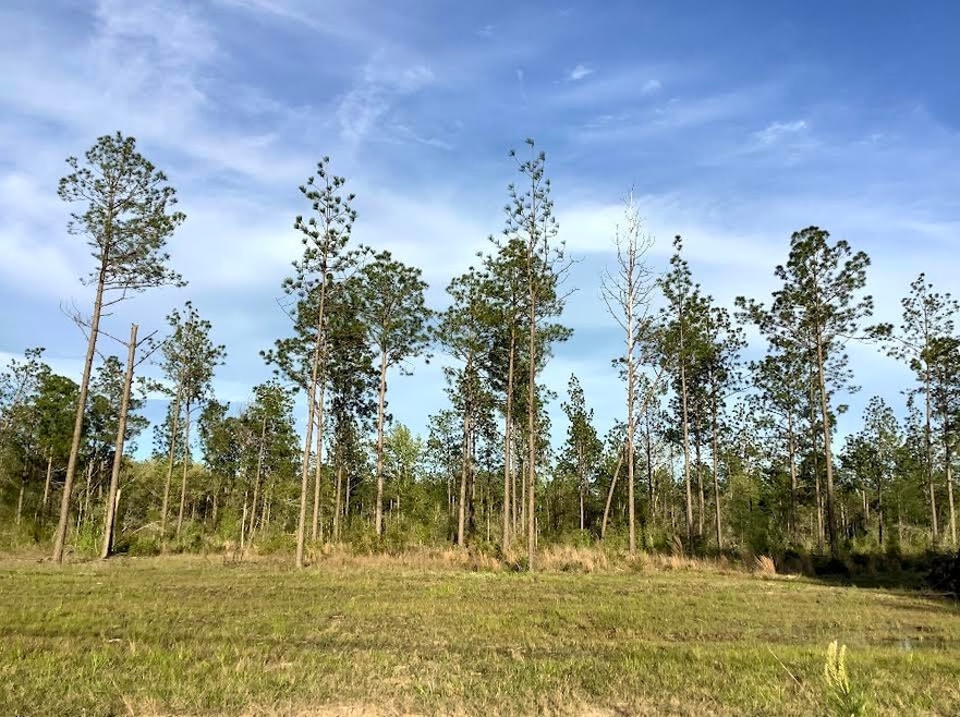 For Sale $39,900 • Co-Listing Agent