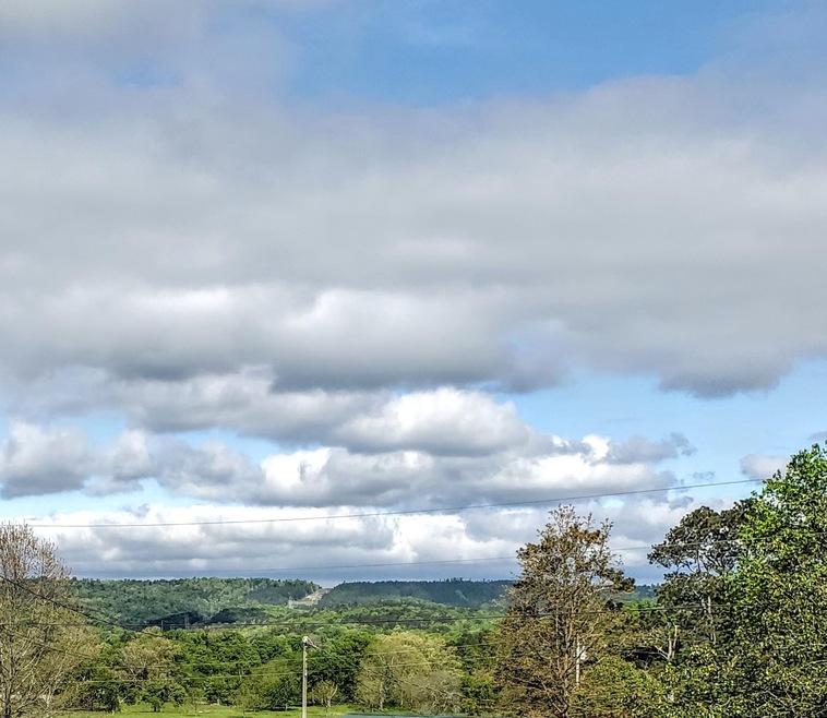 88 Clark Rd, Tunnel Hill, GA 30755 - photo 1