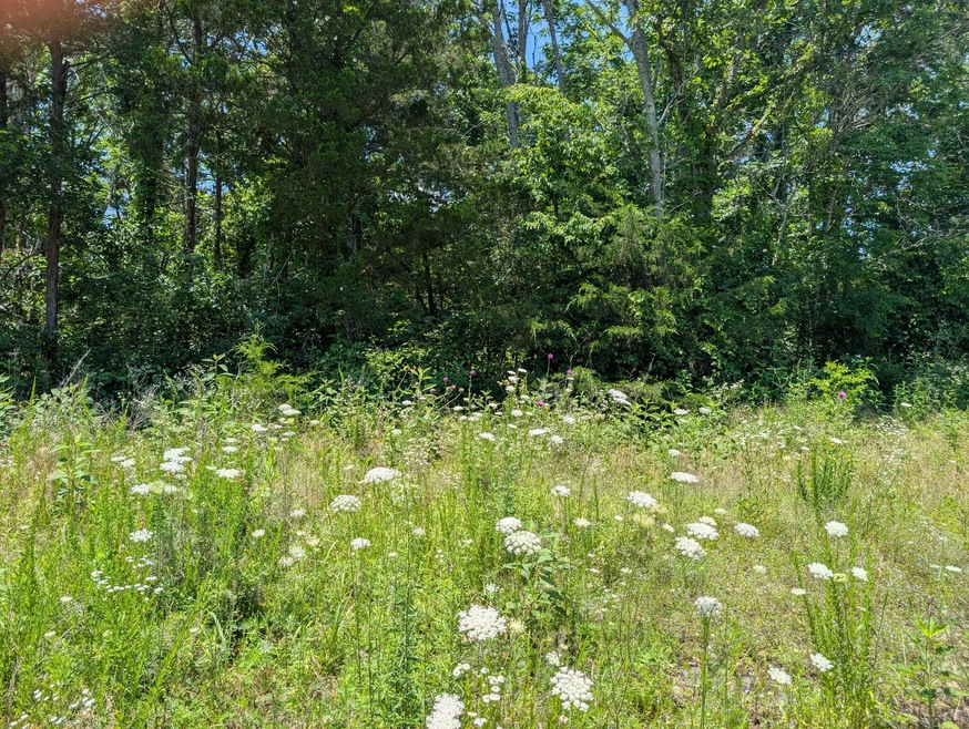 PXL_20250610_180933700