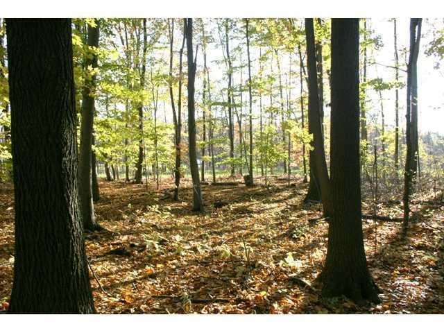 Land. THIS BEAUTIFUL1.3 ACRE WOODED HOMESITE  WITH