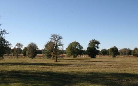 LOT71 Mandiba Dr, Lake City, FL 32024 - photo 1