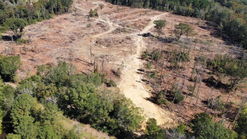 3 Pleasant Ln, Wesson, MS 39191 - photo 1