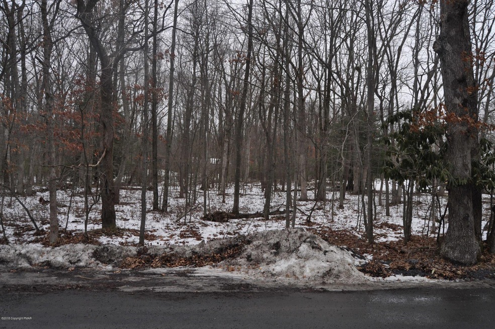 Lot A165 Broad Mountain View Dr, Jim Thorpe, PA 18229 - photo 1