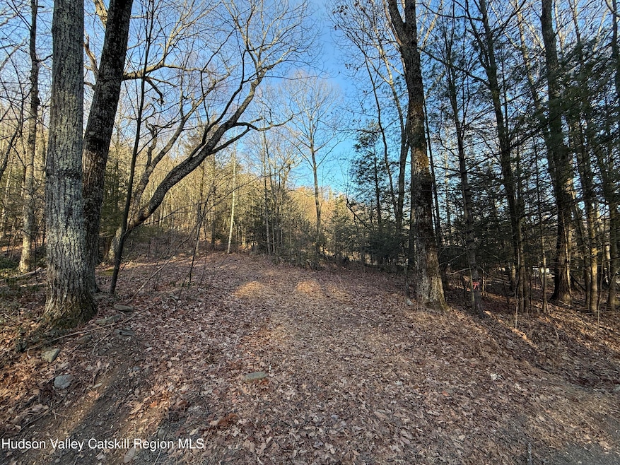 No Number Upper Cherrytown Rd, Rochester, NY 12446 - photo 1