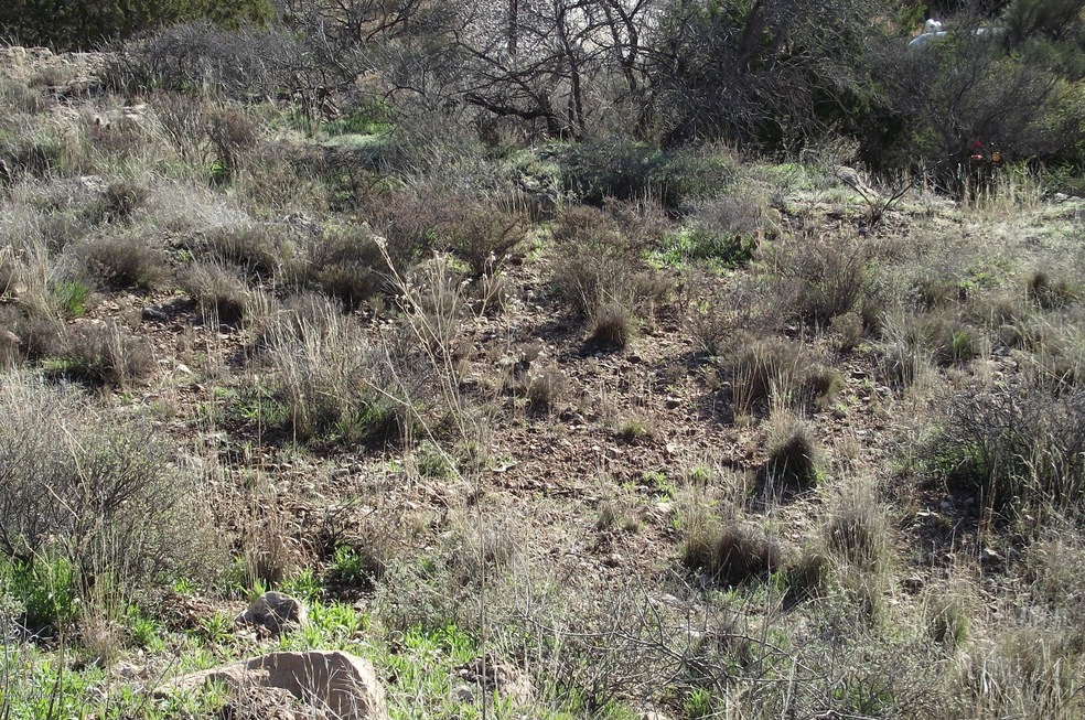 4585 Eagle Circle 001