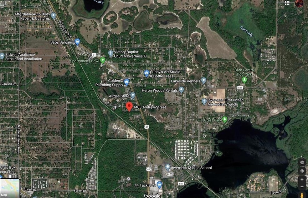 1403 Andrew St, Inverness, FL 34453 - photo 1