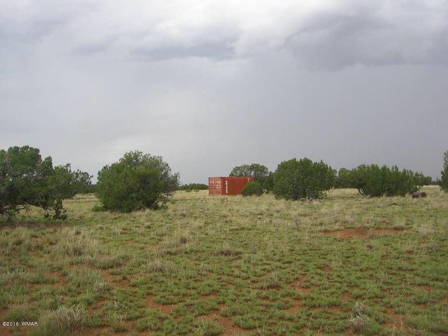 40 Acres w Container
