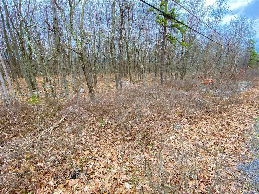 0 Hickory Run Ln unit A130 689941, Jim Thorpe, PA 18229 - photo 1