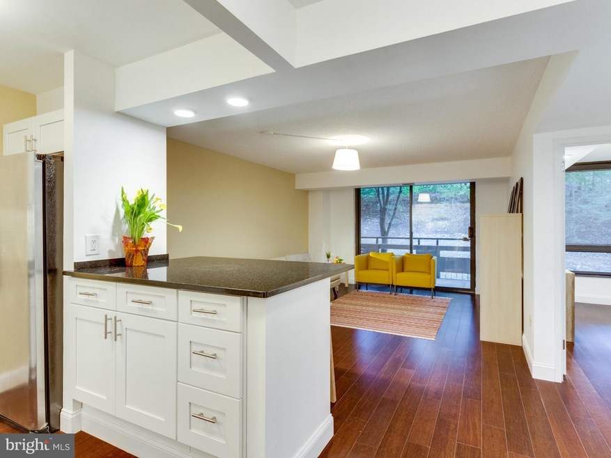 Encore of McLean unit 316, McLean, VA 22102 - photo 1