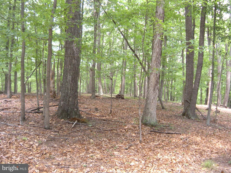 46 ACRES Nettle Ln, Gainesboro, VA 22603 - photo 1