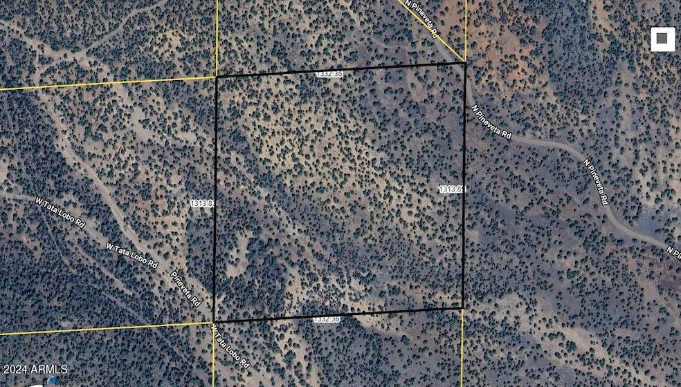 135 N Pineveta Rd, Ash Fork, AZ 86320 - photo 1