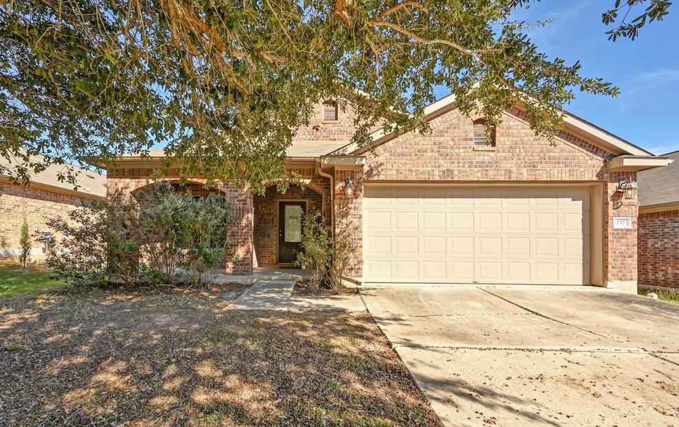 237 Strawberry Blonde Dr, Buda, TX 78610 - photo 1