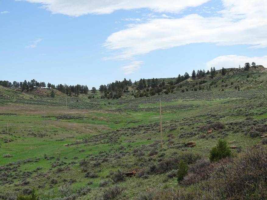 Tract 6 SE Decker Road