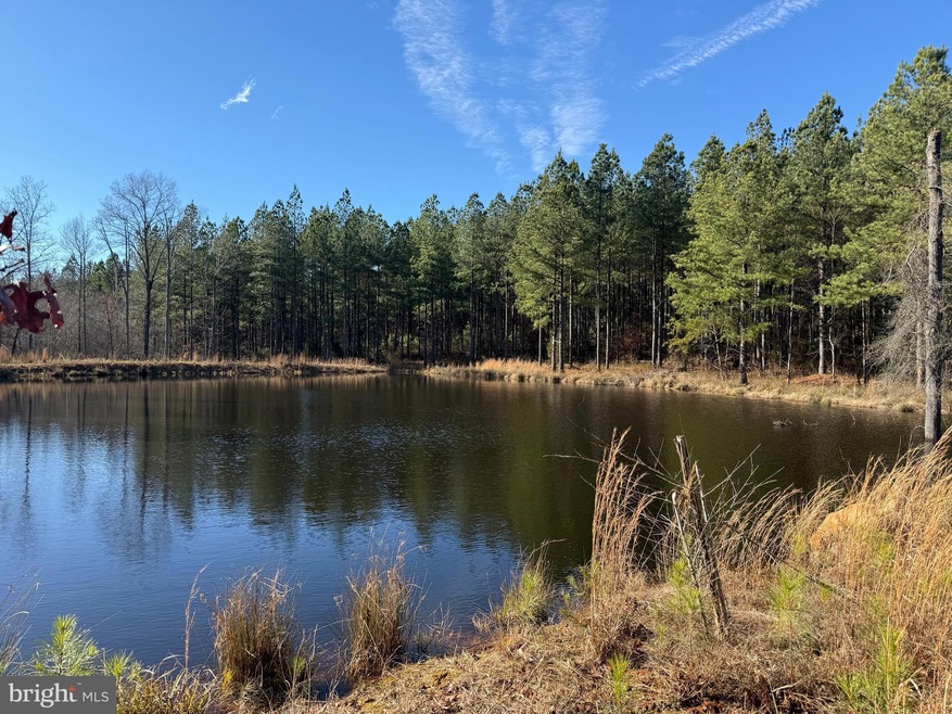 0 Longwood Dr unit VALA2007086, Louisa, VA 23093 - photo 1