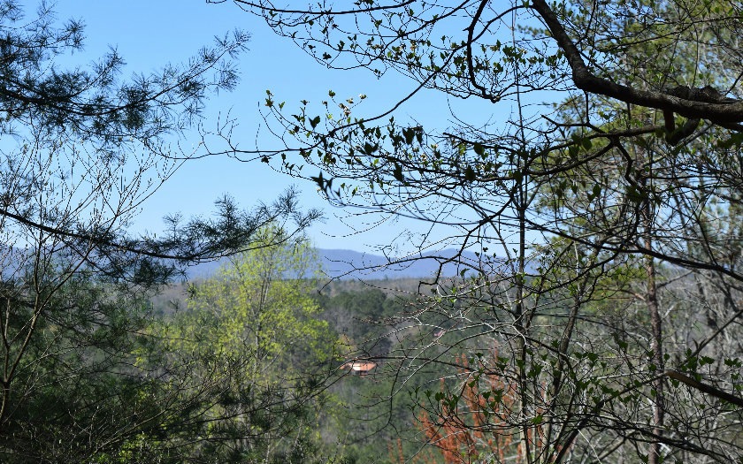 Main View