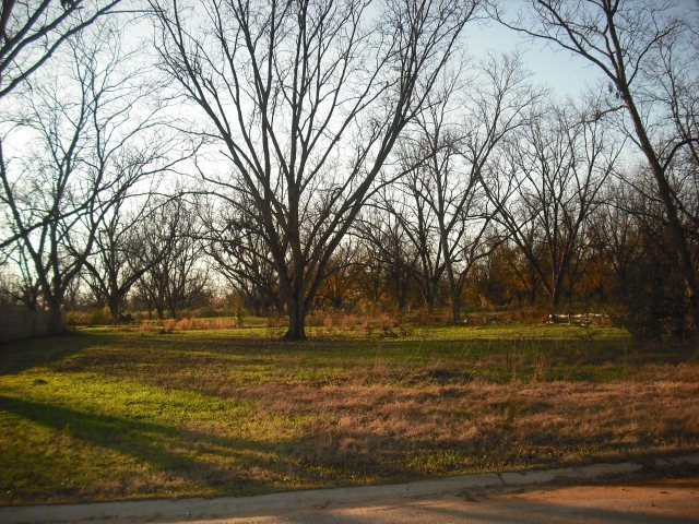 Primary Photo