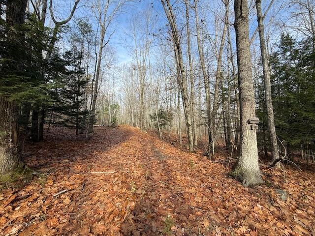 M4A L71 Lone Indian Trail, Augusta, ME 04330 - photo 1