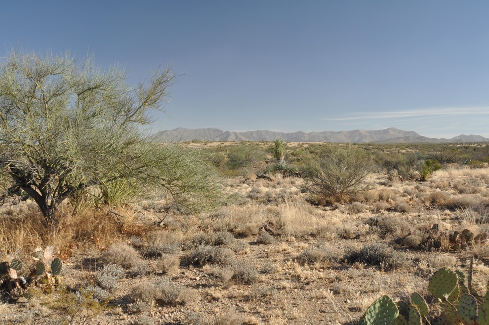 3260 E Barcelona Place unit 5, Vail, AZ 85641 - photo 1