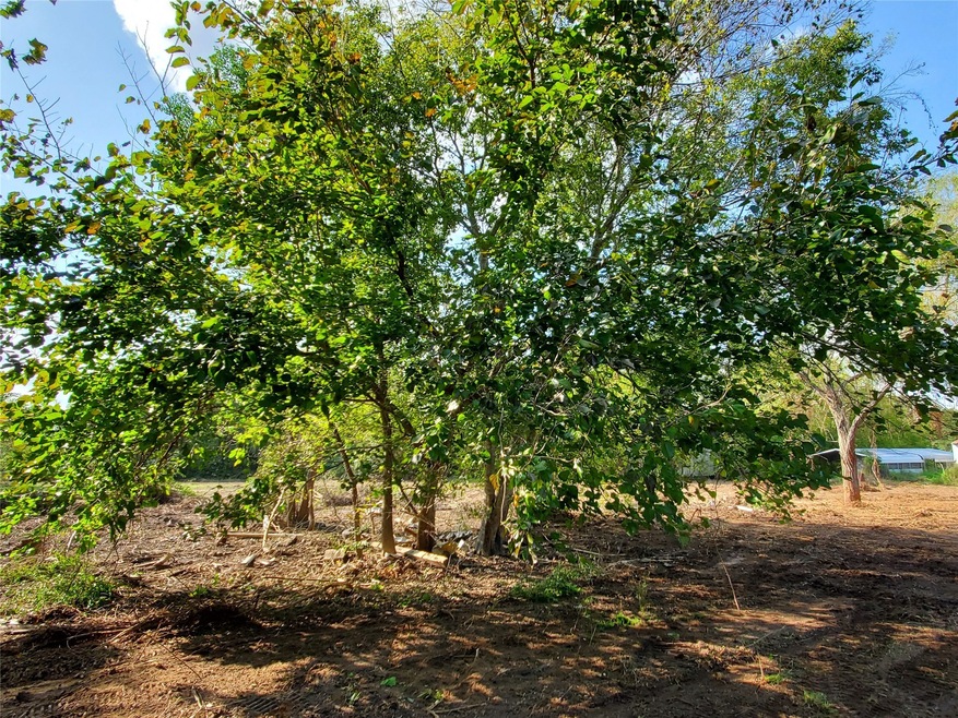 1305 Rymal Rd, Alvin, TX 77511 - photo 1