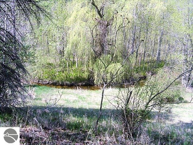 3413 Pine St, Hale, MI 48739 - photo 1