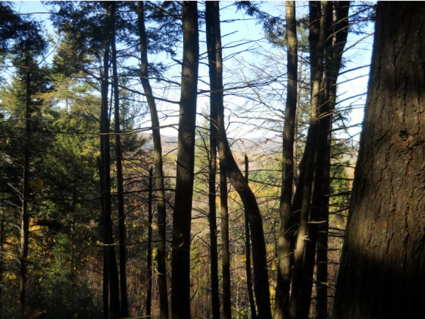 0 S Main St unit 4619633, Charlestown, NH 03603 - photo 1