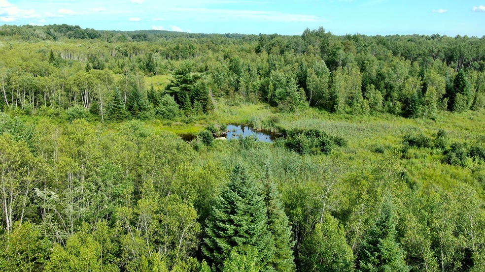 Land/Lot