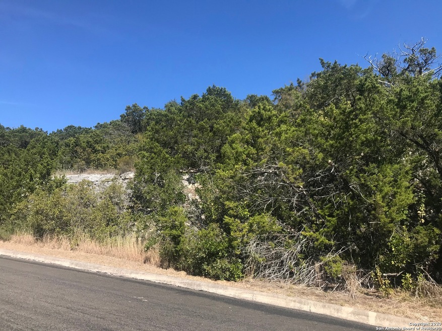 11253 Condor Pass, Helotes, TX 78023 - photo 1