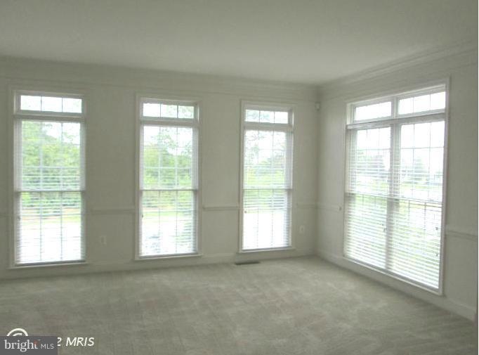 25848 Turlough Terrace, Chantilly, VA 20152 - photo 1