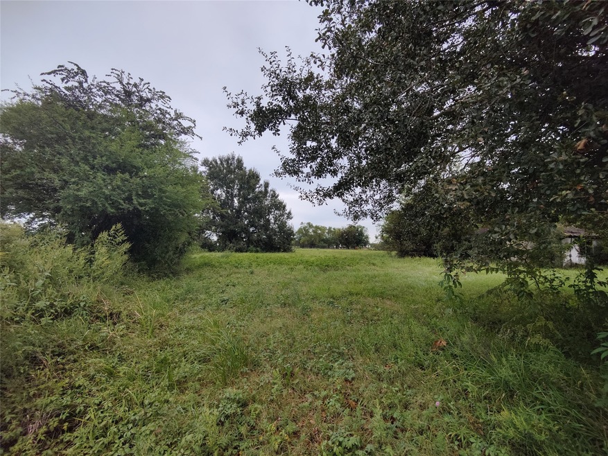 2809 Spur 10 Rd, Rosenberg, TX 77471 - photo 1