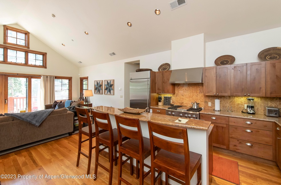 507 W Main St unit C201, Aspen, CO 81611 - photo 1