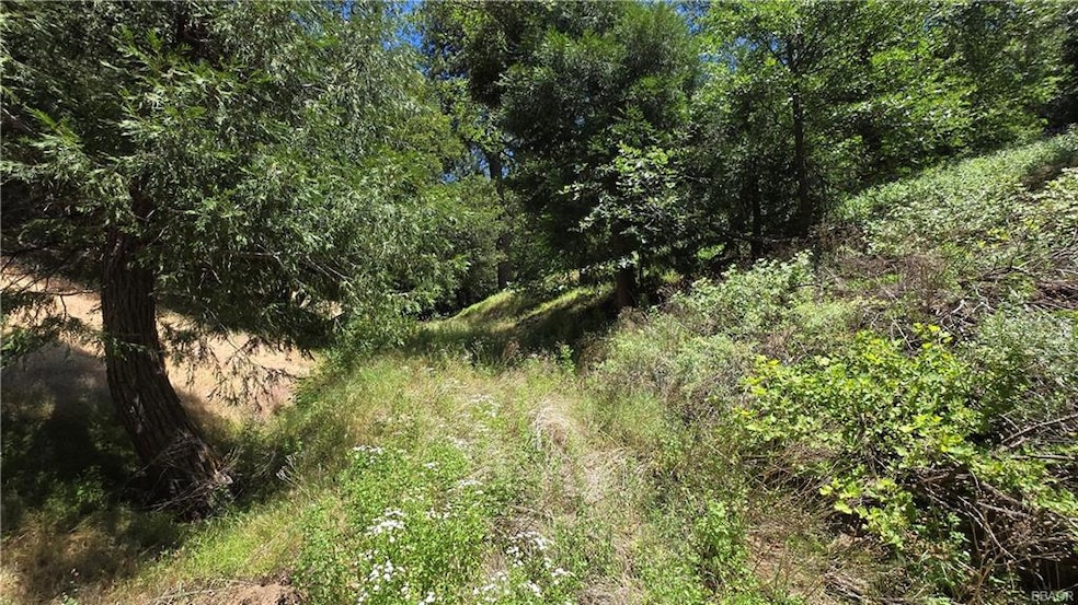 Taken from Mojave River Rd. The property is up this path and off to the right.