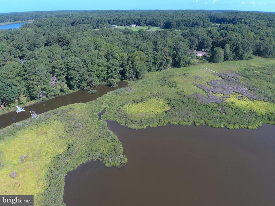 0-36B 1 B 36 Point Anne Dr, Hartfield, VA 23071 - photo 1