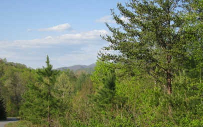 119 Old Orchard Rd, Ellijay, GA 30536 - photo 1