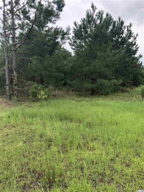 TBD Whispering Hills Rd unit Tract 1; Lot 2, Loris, SC 29569 - photo 1