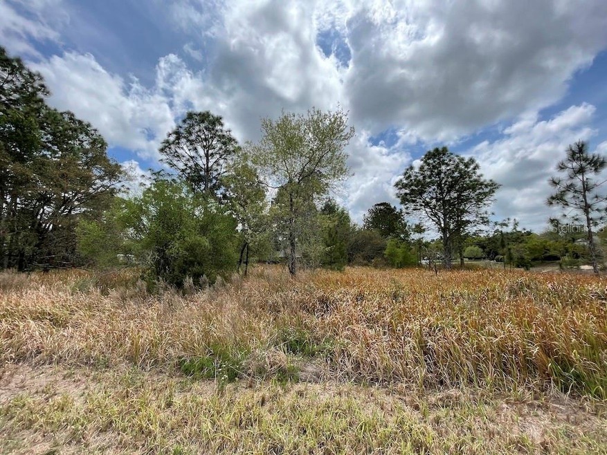Build your dream home here!