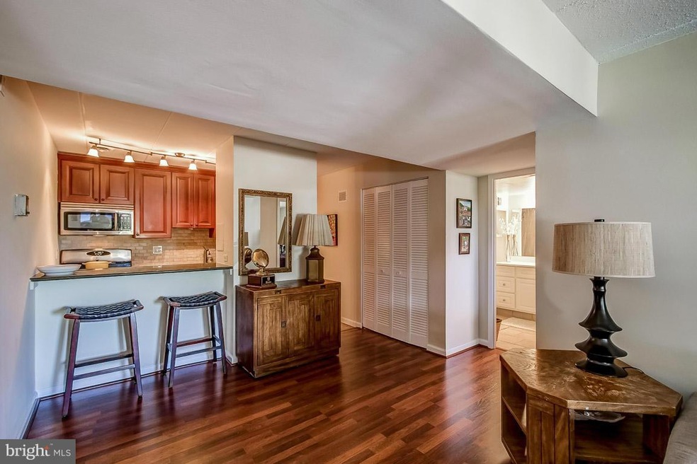 5715 Indian Ct unit 181, Alexandria, VA 22303 - photo 1