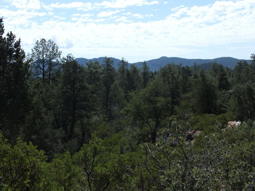 Southern Views
