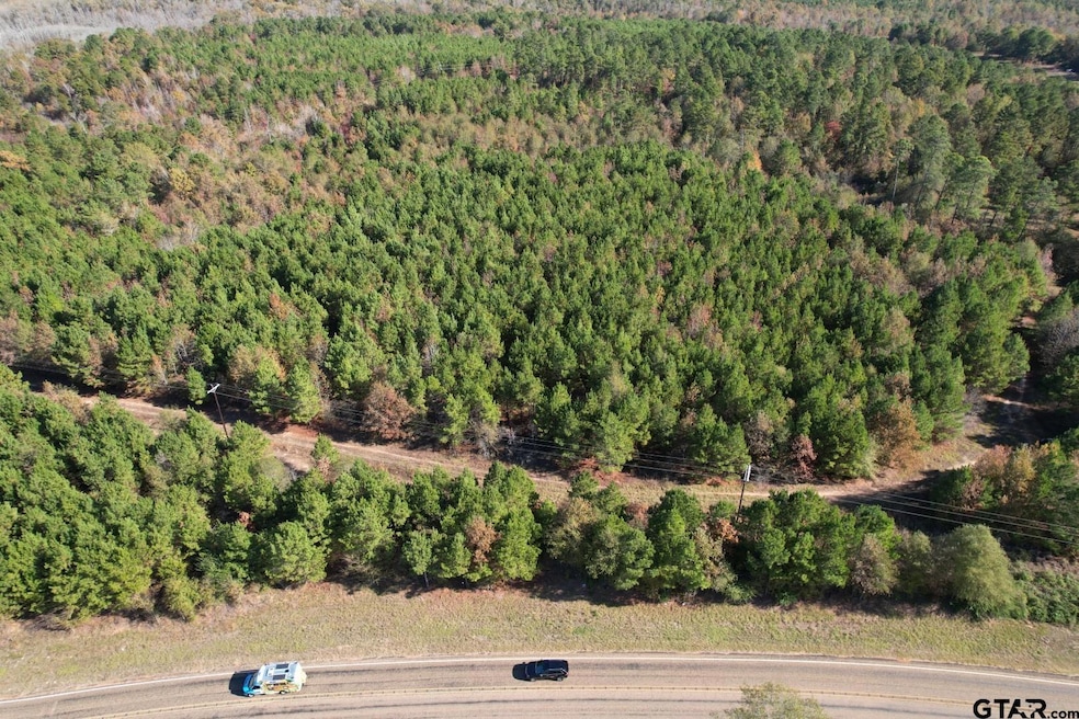 TBD Fm 1650, Gilmer, TX 75645 - photo 1