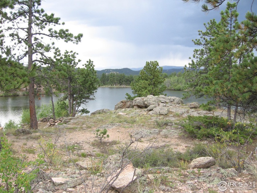 Snake Lake standing on lot